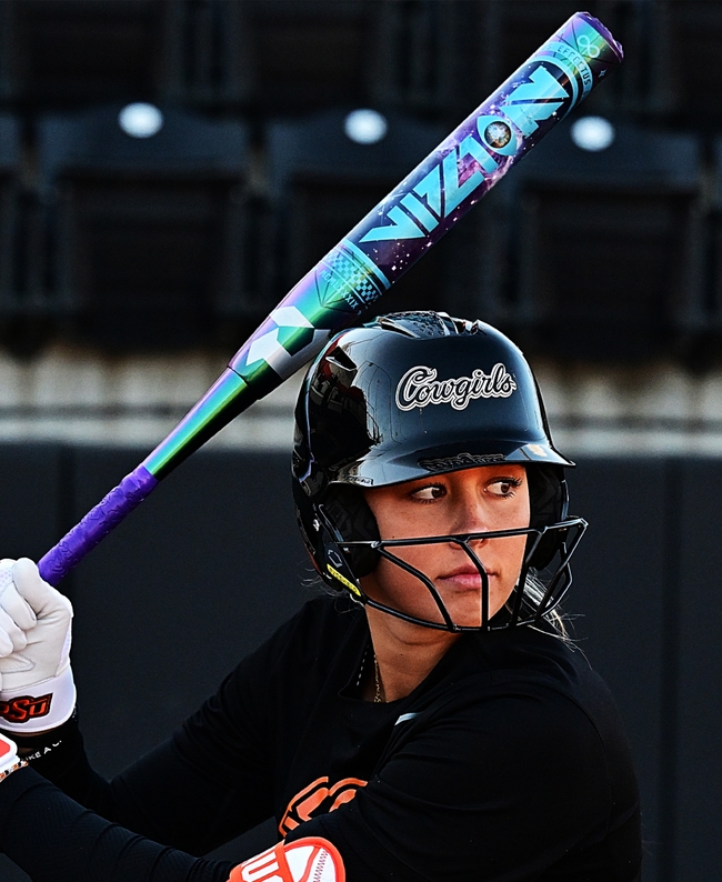 2027 DeMarini Vizion Fastpitch Bat